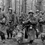 Cani con soldati dell'Armata Rossa - Dogs with Red Army's soldiers