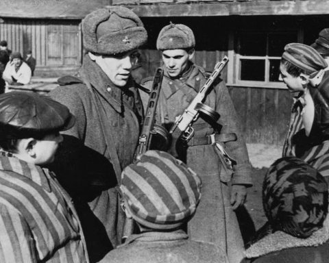 Libération d'Auschwitz